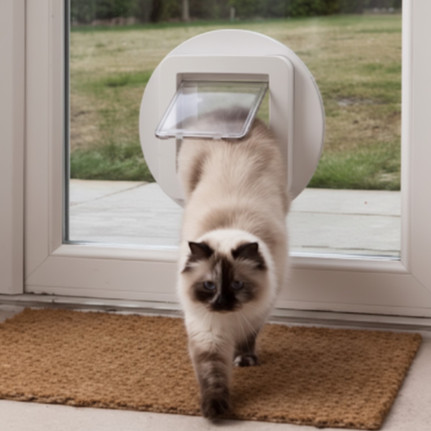 Pet Doors service in Tauranga